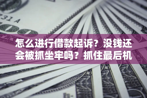 济南怎么进行借款起诉？没钱还会被抓坐牢吗？抓住最后机会！