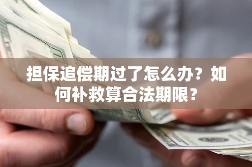 济南担保追偿期过了怎么办？如何补救算合法期限？
